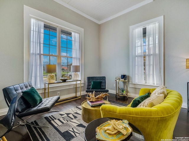 living room featuring dark wood-type flooring and crown molding