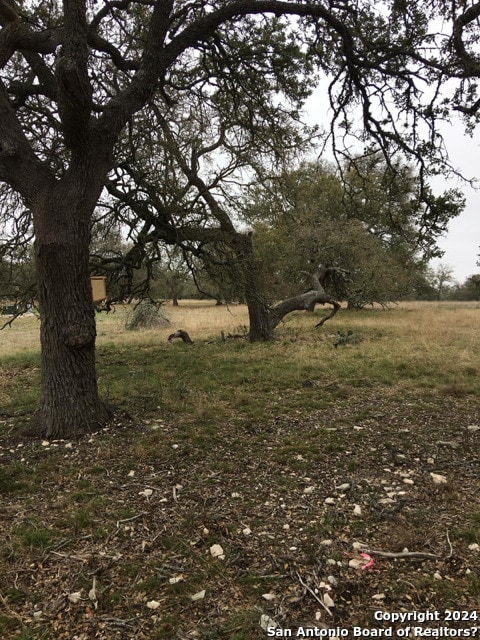 Listing photo 4 for 661 Stevens Ranch Rd, Harper TX 78631