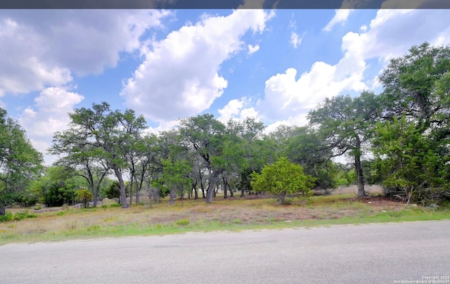 Listing photo 3 for 107 S Calvin Barrett, Blanco TX 78606