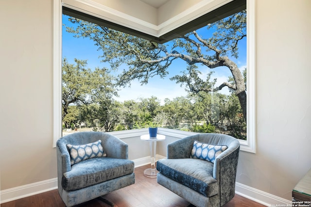 sitting room featuring dark wood-type flooring