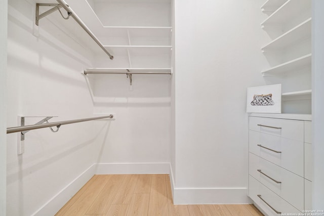 spacious closet with light wood-type flooring