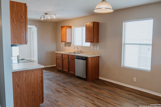 kitchen with dark wood-type flooring, rail lighting, dishwasher, and sink