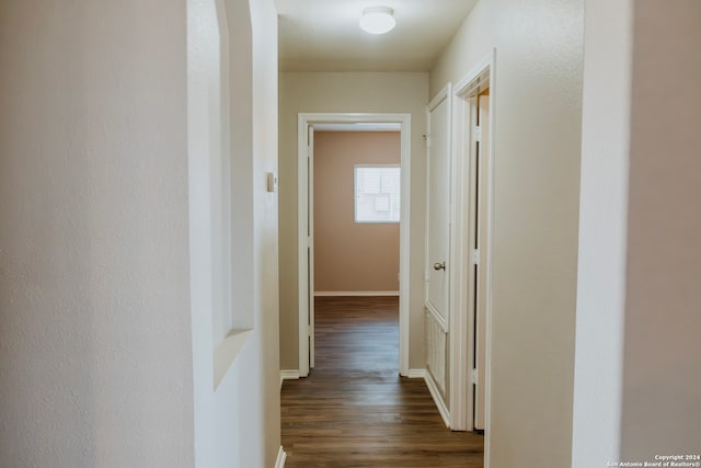 hallway featuring dark hardwood / wood-style flooring