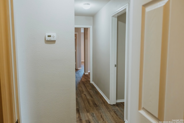 corridor featuring dark hardwood / wood-style floors