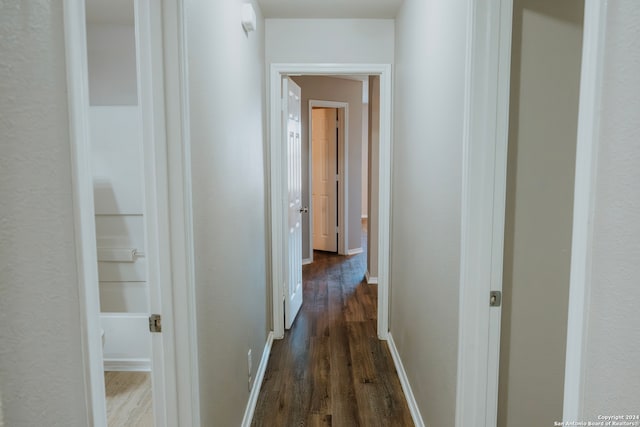 hall featuring dark wood-type flooring