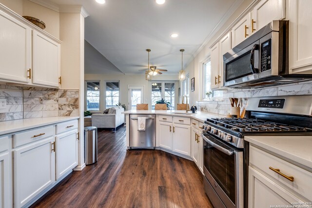 kitchen with ceiling fan, sink, dark hardwood / wood-style flooring, backsplash, and stainless steel appliances