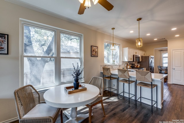 dining area featuring dark hardwood / wood-style floors, ceiling fan, sink, and ornamental molding