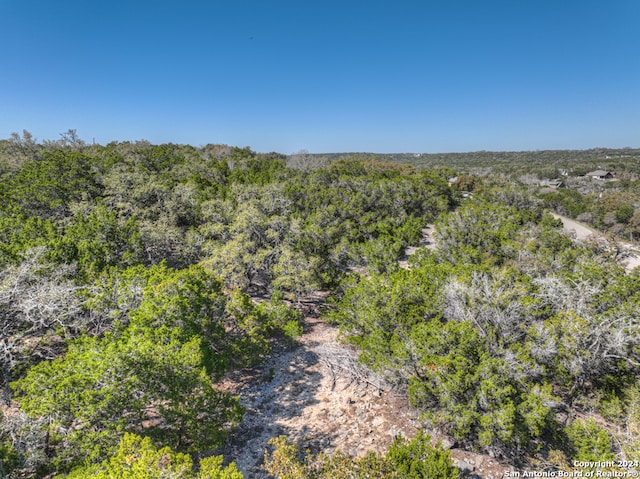 1490 Desiree St, Canyon Lake TX, 78133 land for sale