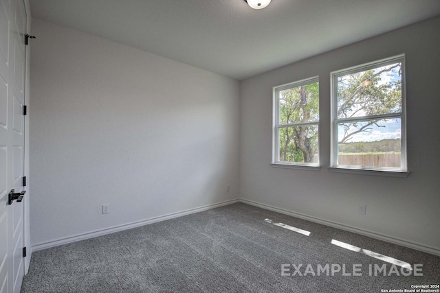 unfurnished room with carpet flooring