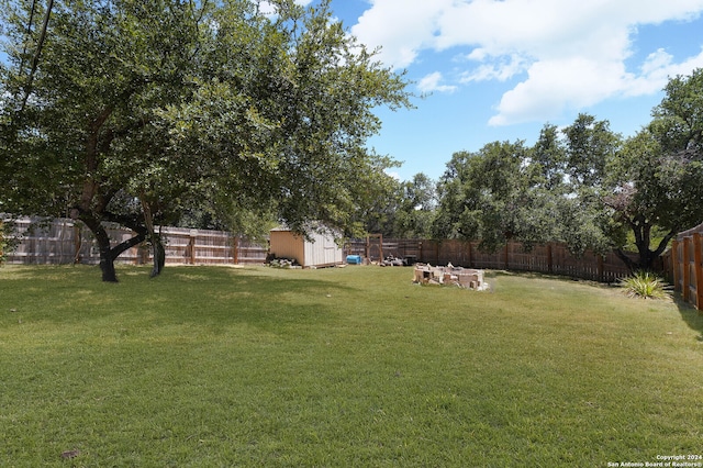 view of yard featuring a storage unit