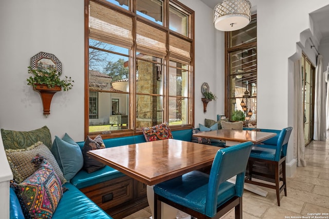 tiled dining room featuring a wealth of natural light