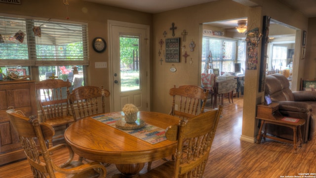 dining room featuring dark hardwood / wood-style flooring