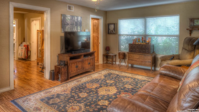 living room featuring light hardwood / wood-style floors