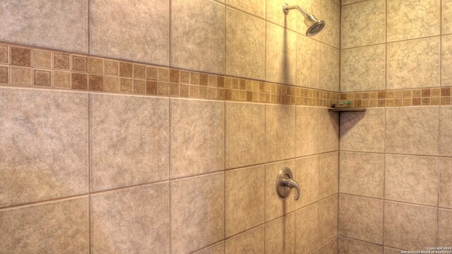 room details featuring tiled shower