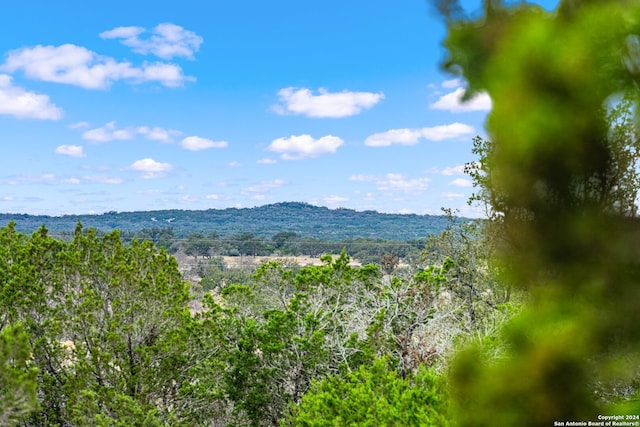 1400 Springs Xing, Junction TX, 76849 land for sale