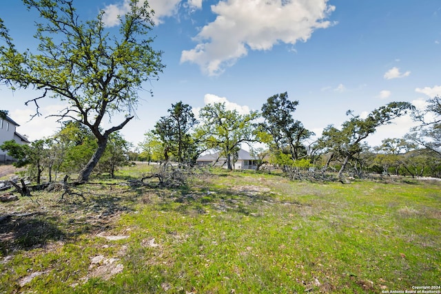 Listing photo 2 for 1275 Smoky Loop Rd, New Braunfels TX 78132