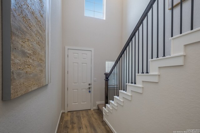 entrance foyer with dark hardwood / wood-style flooring and a high ceiling