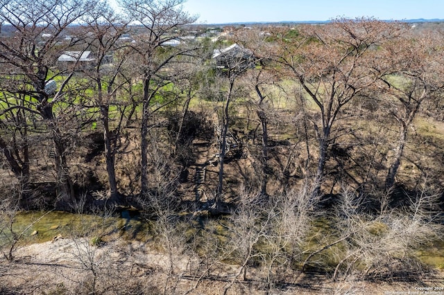 view of local wilderness