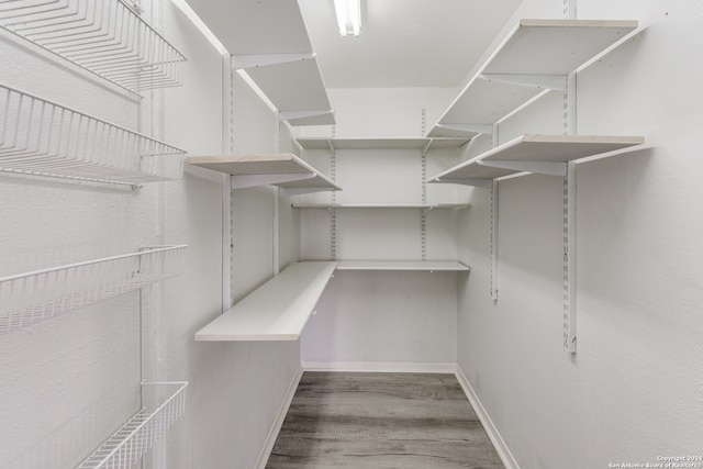 walk in closet featuring wood-type flooring