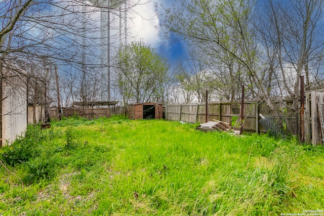 view of yard featuring a shed