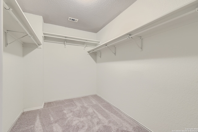 walk in closet with carpet floors