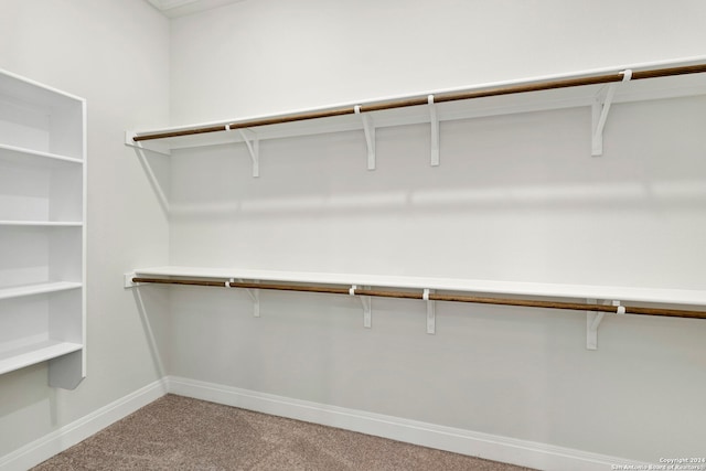 walk in closet with light colored carpet