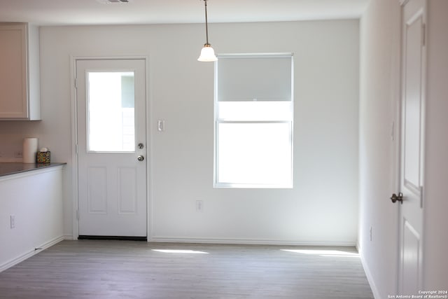 doorway to outside with a healthy amount of sunlight and light hardwood / wood-style flooring