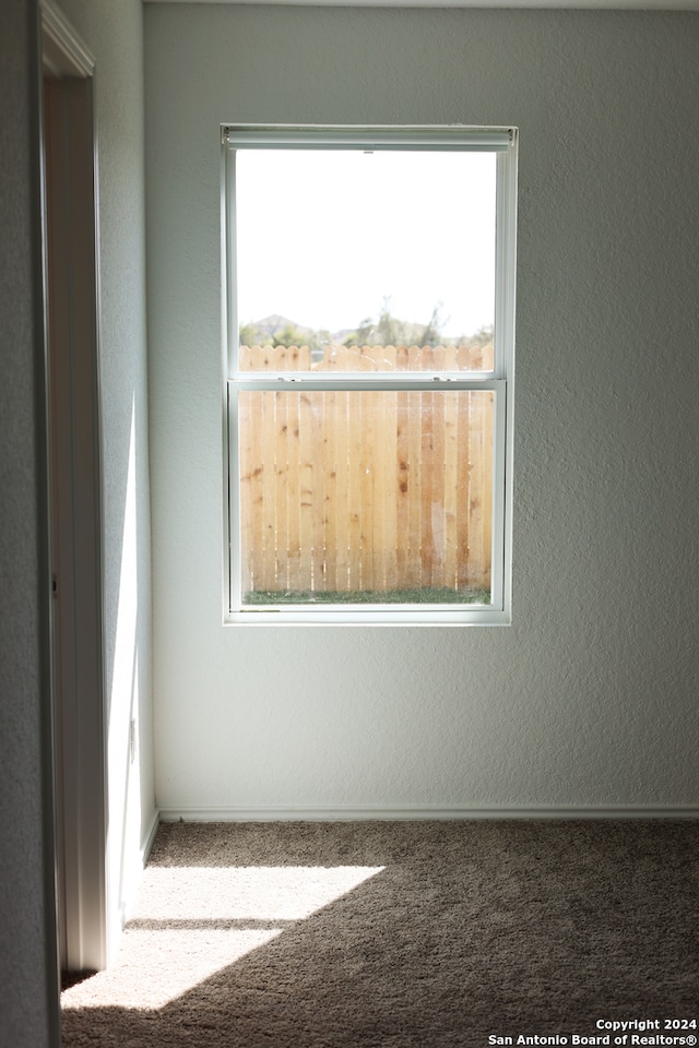 carpeted empty room with plenty of natural light