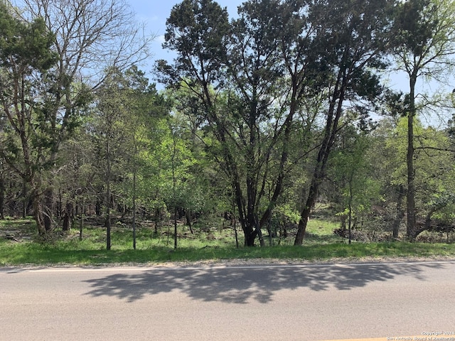 4224 Wegner Rd, New Braunfels TX, 78132 land for sale