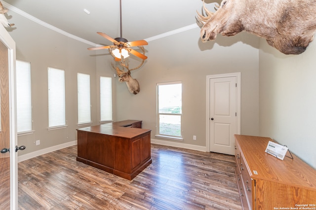 unfurnished office with ceiling fan, dark wood-type flooring, and ornamental molding