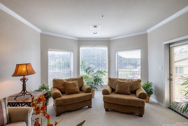 carpeted living room with plenty of natural light, a textured ceiling, and crown molding