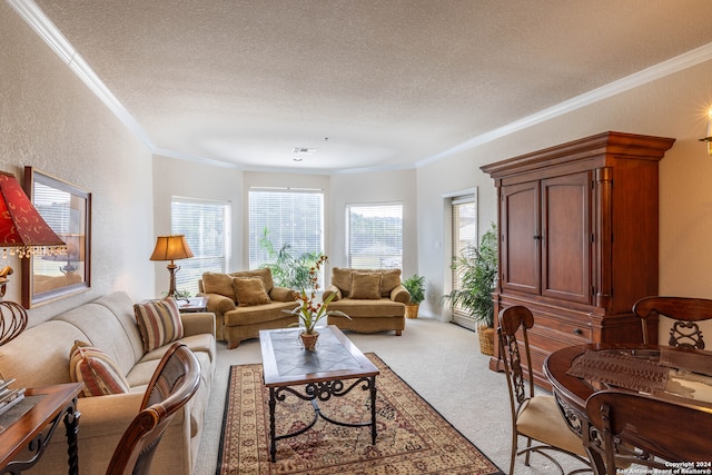 carpeted living room featuring a textured ceiling and ornamental molding