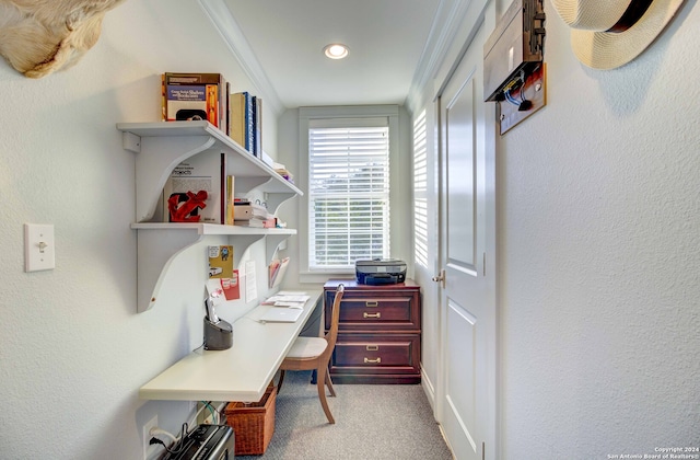 carpeted office featuring crown molding