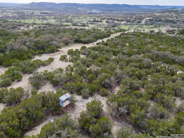 birds eye view of property featuring a mountain view