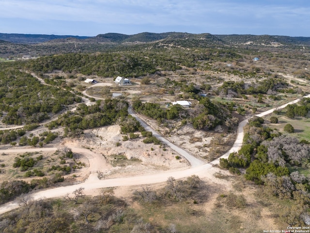 drone / aerial view with a mountain view