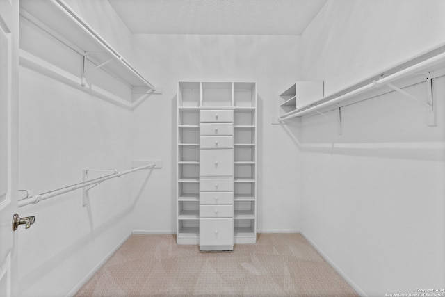 spacious closet with light colored carpet