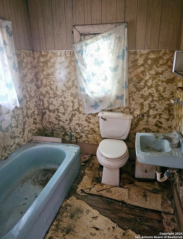 bathroom with a tub, sink, and toilet