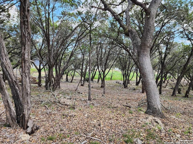 Listing photo 3 for LOT18 Forest Lake Dr, Spring Branch TX 78070