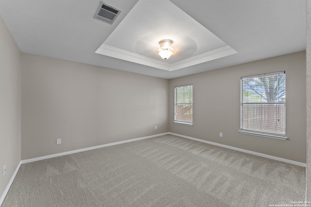 carpeted empty room with ornamental molding and a raised ceiling