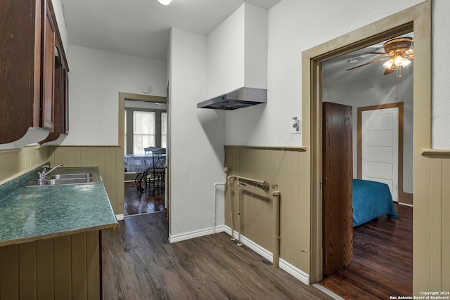 kitchen with dark hardwood / wood-style flooring, ceiling fan, and sink