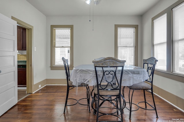 dining room featuring plenty of natural light, ceiling fan, and dark wood-type flooring