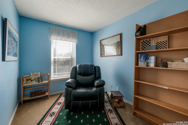 sitting room with carpet flooring and a textured ceiling