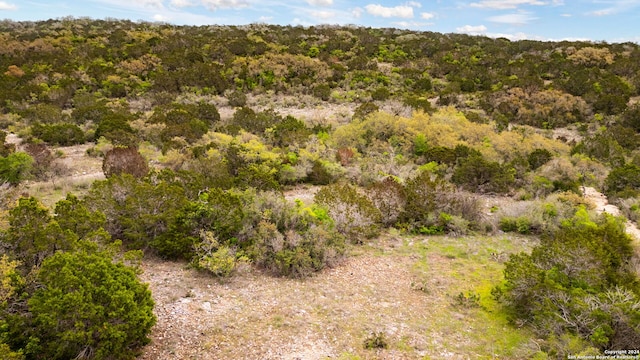 149 County Road 2809, Mico TX, 78056 land for sale