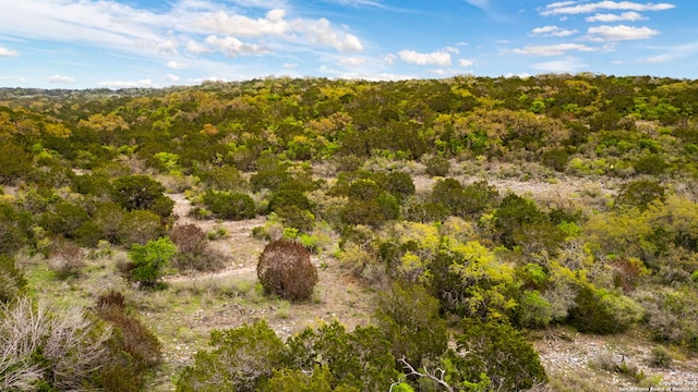 Listing photo 3 for 149 County Road 2809, Mico TX 78056