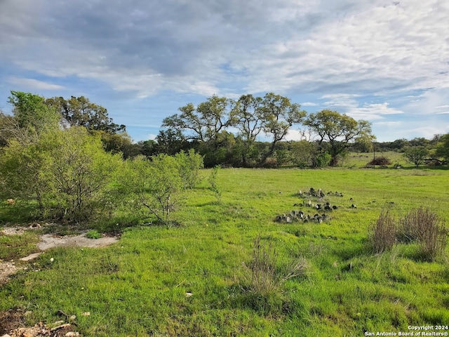 Listing photo 3 for 112 W Alex Jordan, Blanco TX 78606