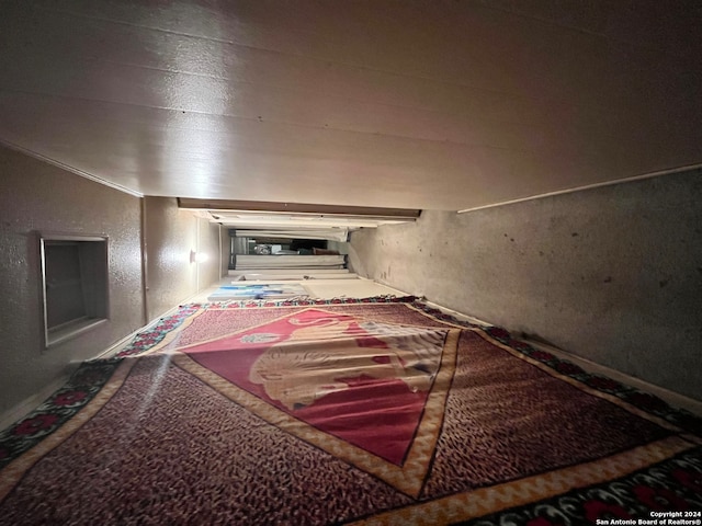 interior space with carpet flooring