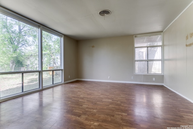 empty room featuring expansive windows and dark hardwood / wood-style floors