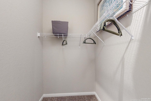 spacious closet featuring carpet floors