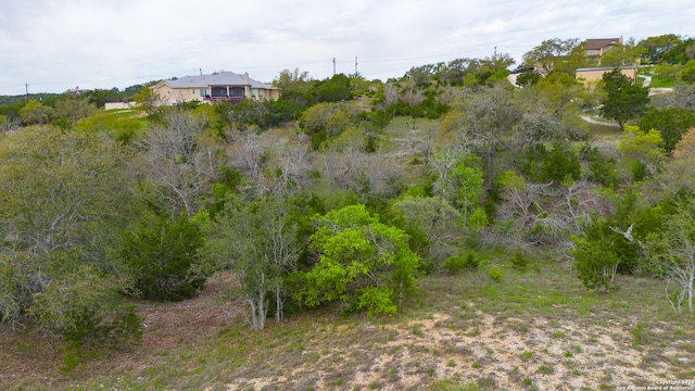 Listing photo 3 for 1266 Mystic Breeze, Spring Branch TX 78070