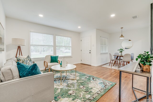 living room featuring light hardwood / wood-style floors